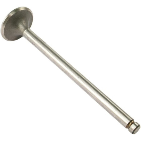 Soupape d'échappement VAPORMATIC VPA1260