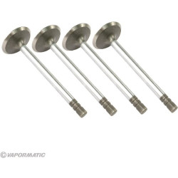 Soupape d'admission VAPORMATIC VPA1350