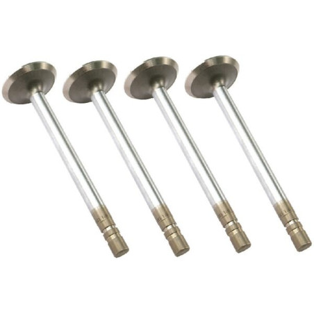Soupape d'échappement VAPORMATIC VPA1362