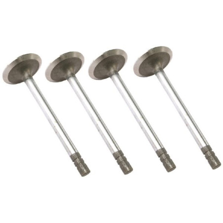 Soupape d'admission VAPORMATIC VPA1380