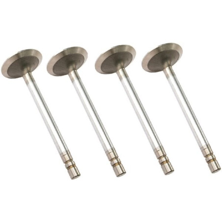 Soupape d'admission VAPORMATIC VPA1382