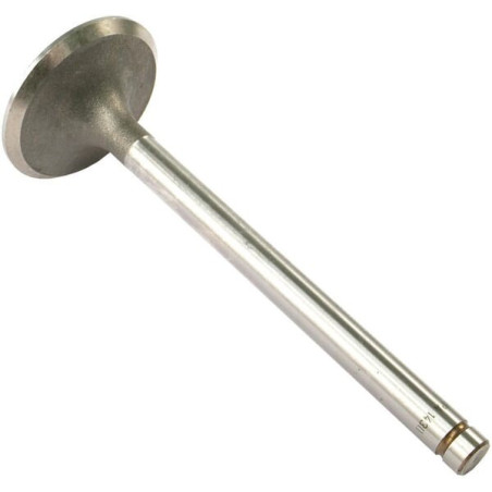Soupape d'admission VAPORMATIC VPA1430