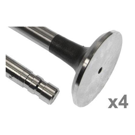 Soupape d'échappement VAPORMATIC VPA1501