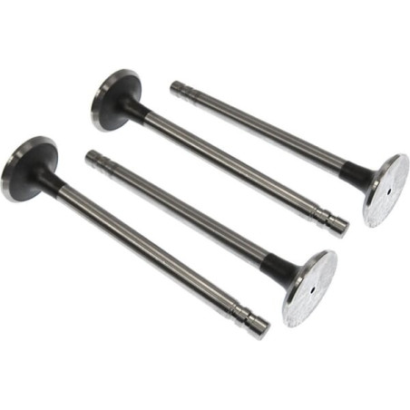 Soupape d'échappement VAPORMATIC VPA1502