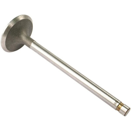 Soupape d'admission VAPORMATIC VPA1510