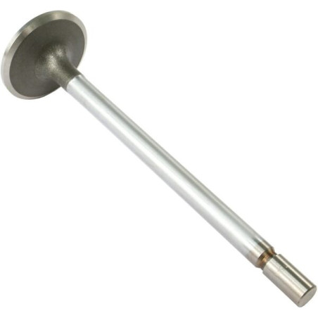 Soupape d'admission VAPORMATIC VPA1540