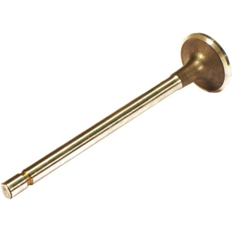 Soupape d'échappement VAPORMATIC VPA1550