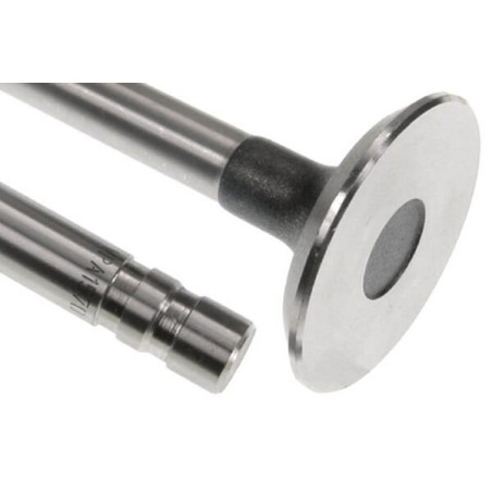 Soupape d'échappement VAPORMATIC VPA1570