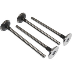 Soupape d'échappement VAPORMATIC VPA1571