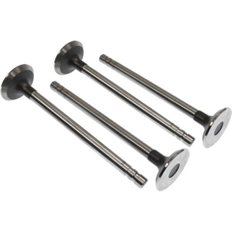 Soupape d'échappement VAPORMATIC VPA1571