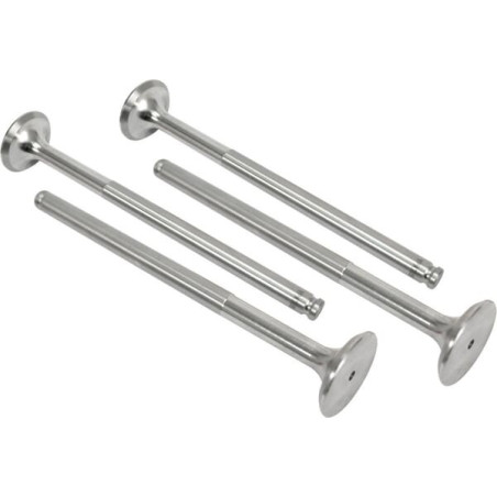 Soupape d'échappement VAPORMATIC VPA7050
