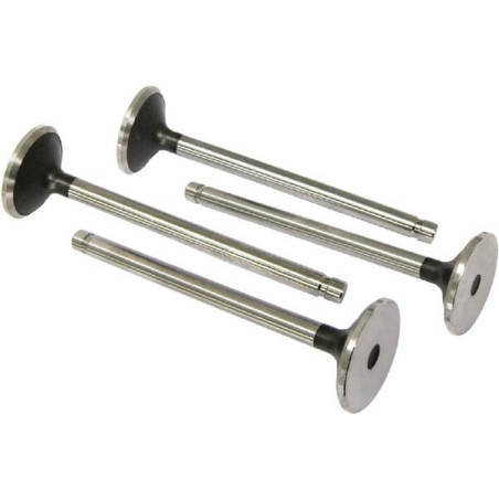 Soupape d'échappement VAPORMATIC VPA7260