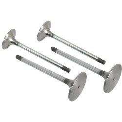 Soupape d'admission VAPORMATIC VPA7300