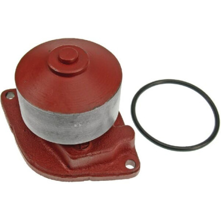 Pompe à eau VAPORMATIC VPE1060