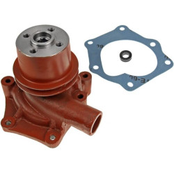 Pompe à eau VAPORMATIC VPE1081