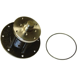 Pompe à eau VAPORMATIC VPE1116