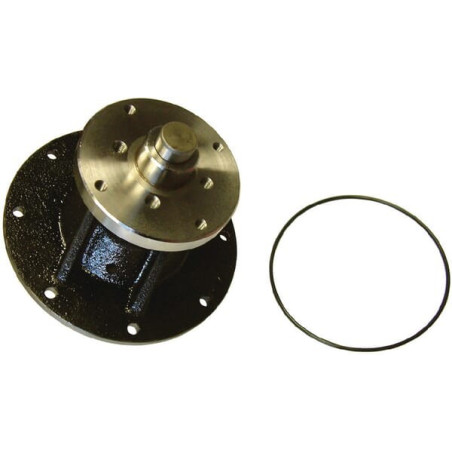 Pompe à eau VAPORMATIC VPE1116