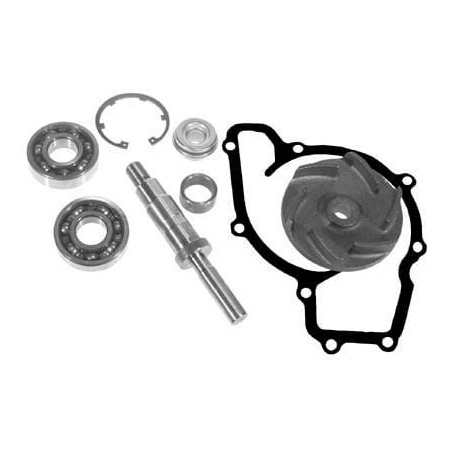 Kits de réparation de pompe à eau VAPORMATIC VPE2030