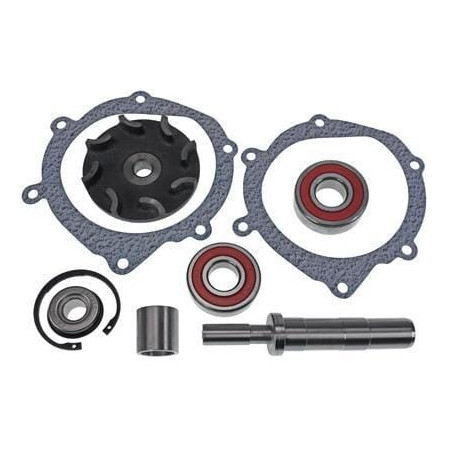 Kit de réparation VAPORMATIC VPE2074