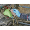 Kit pour soin des griffes de bovins TECHNOVIT VV1077