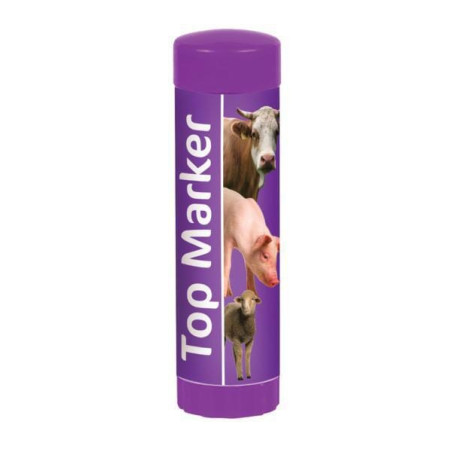 Crayon violet UNIVERSEL VV8011