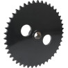 Pignon KUHN Z4400680