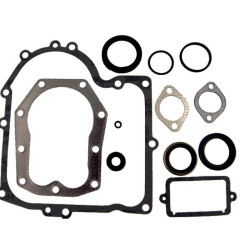 Kit de joints BRIGGS ET STRATTON 494241