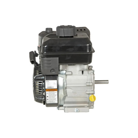 Moteur complet BRIGGS ET STRATTON 0831321040F1BF1001