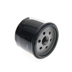 Filtre d'huile BRIGGS ET STRATTON 696854