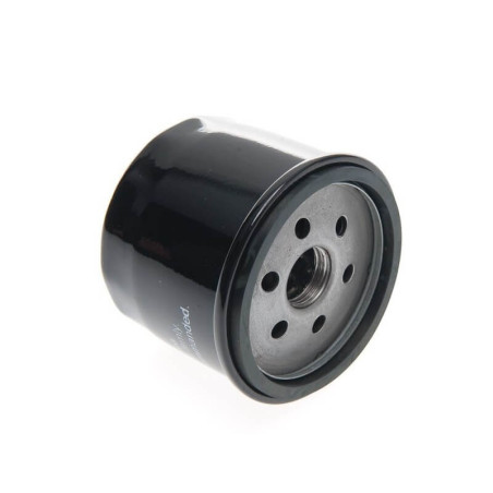Filtre d'huile BRIGGS ET STRATTON 696854