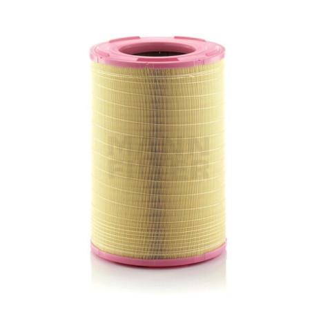 Filtre à air MANN-FILTER C3012401