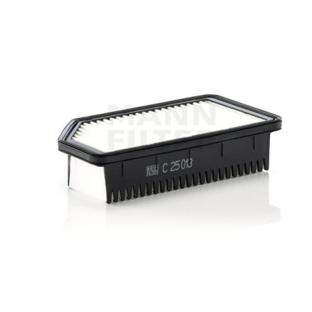 Filtre à air MANN-FILTER C25013