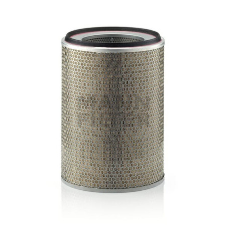 Filtre à air MANN-FILTER C291055