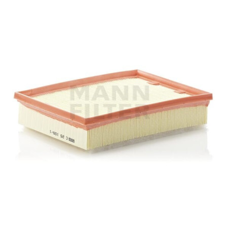 Filtre à air MANN-FILTER C251091