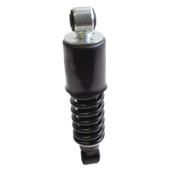 Amortisseur F&S 112856
