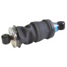 Amortisseur F&S 314041