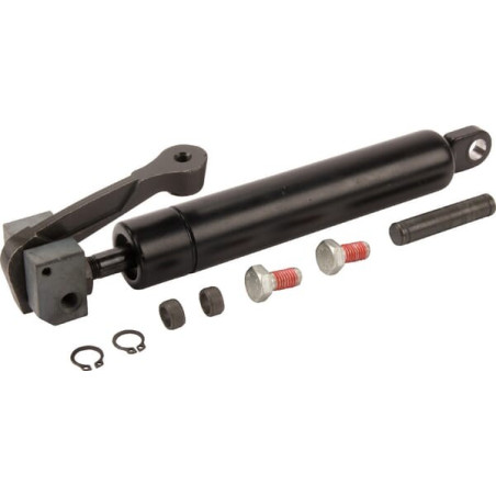 Amortisseur CASE IH 87710003
