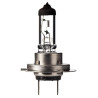 Ampoule UNIVERSEL B12067KLL