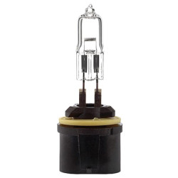 Ampoule UNIVERSEL B12059
