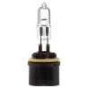 Ampoule UNIVERSEL B12059