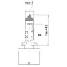 Ampoule UNIVERSEL B12059
