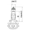 Ampoule UNIVERSEL B120600