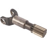Arbre CARRARO CI044180