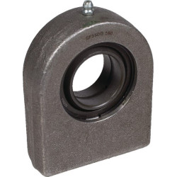 Renfort INA/FFAG GF35DOAINA