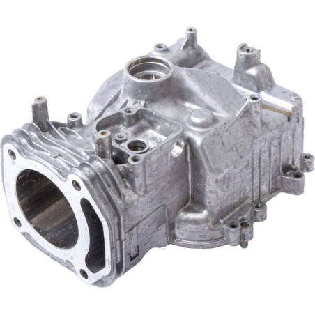 Assemblage de cylindre BRIGGS ET STRATTON 597120