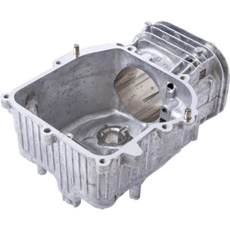Assemblage de cylindre BRIGGS ET STRATTON 597120