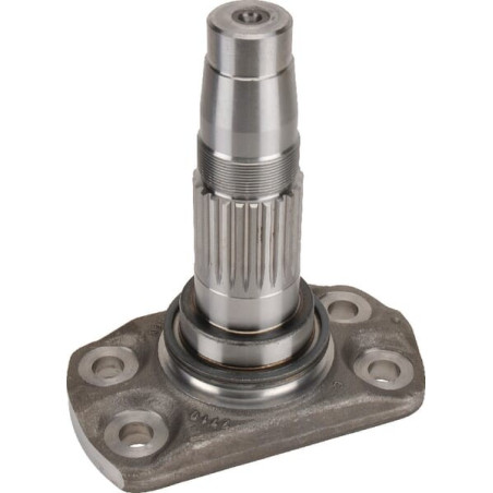Axe de rotor MASCHIO M27100304R