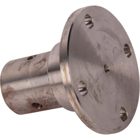 Axe GOLDONI 00031358