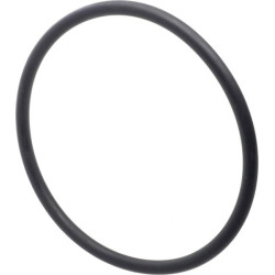 Bague LANDINI 3019929X1