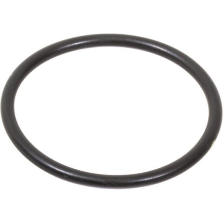 Bague LANDINI 366434X1
